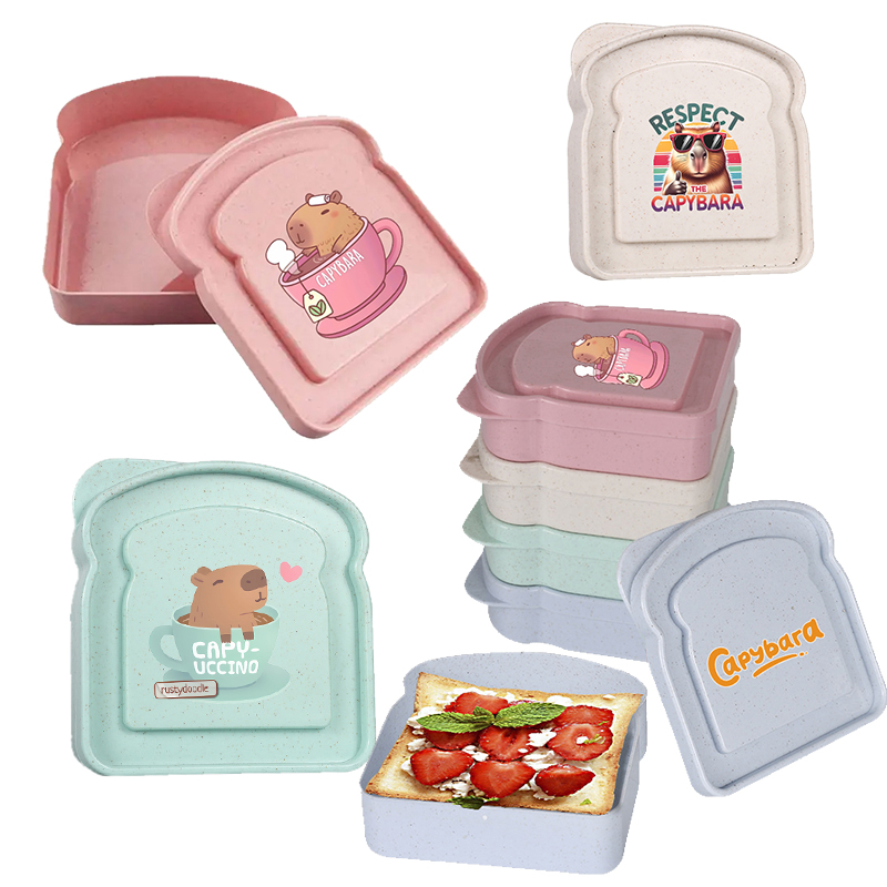 Food Storage With Dividers - Capybara Sandwich-Aufbewahrungsbox für Lebensmittel, Behälter für